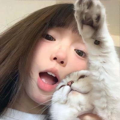 驴子潘趣